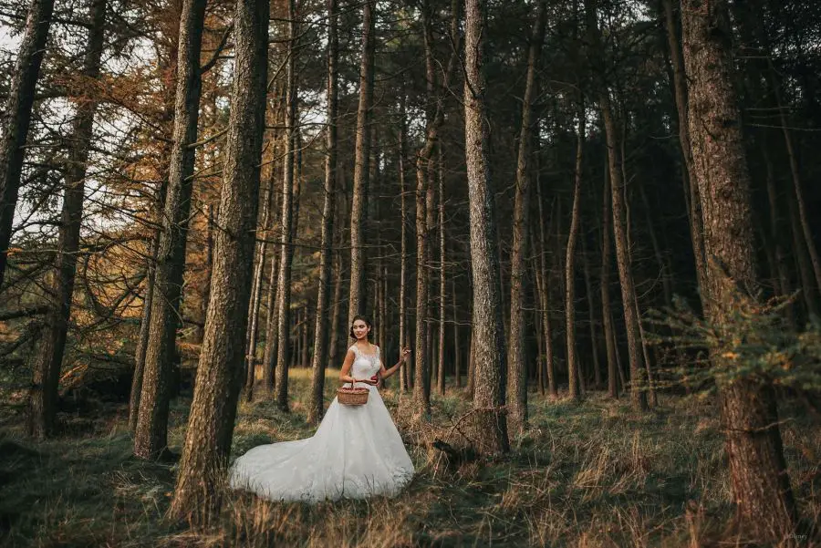 Disney Snow White Wedding Dress