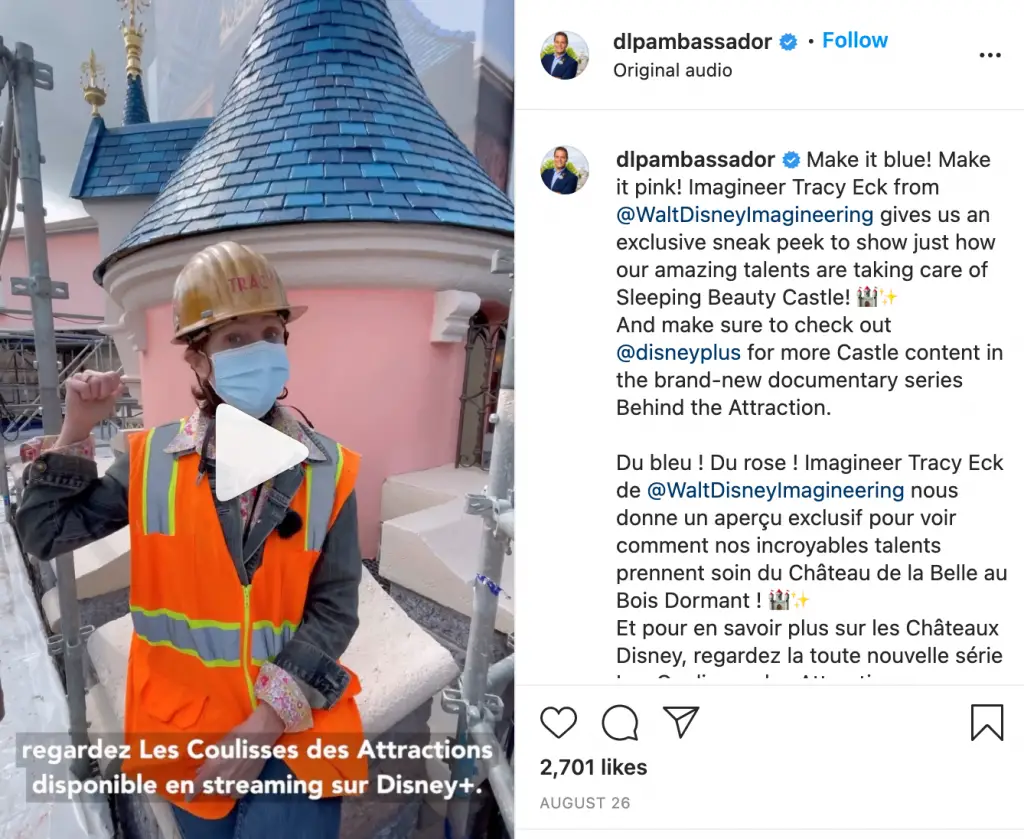 dlp ambassador