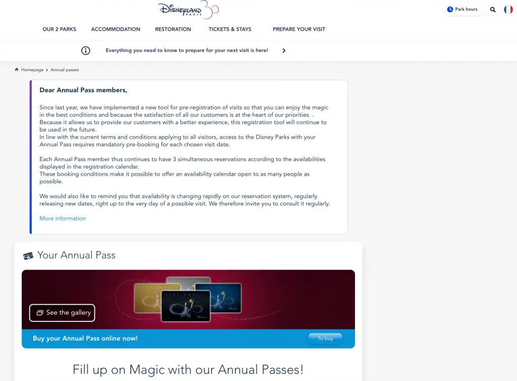 How to Buy a Disneyland Paris Annual Pass Online