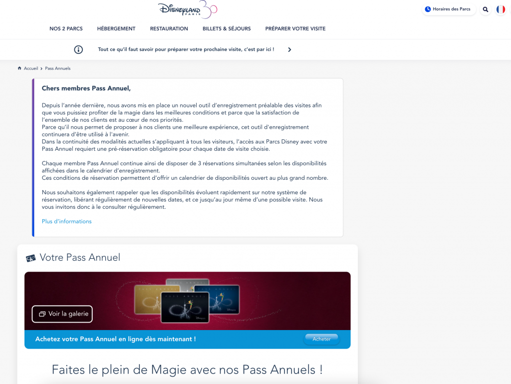 How to Buy a Disneyland Paris Annual Pass Online in english
