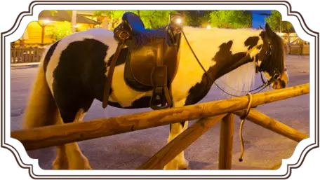 Disney Hotel Cheyenne pony ride