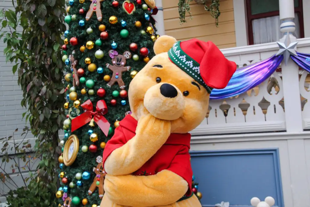 winnie-pooh-christmas-outfit-disneyland-paris